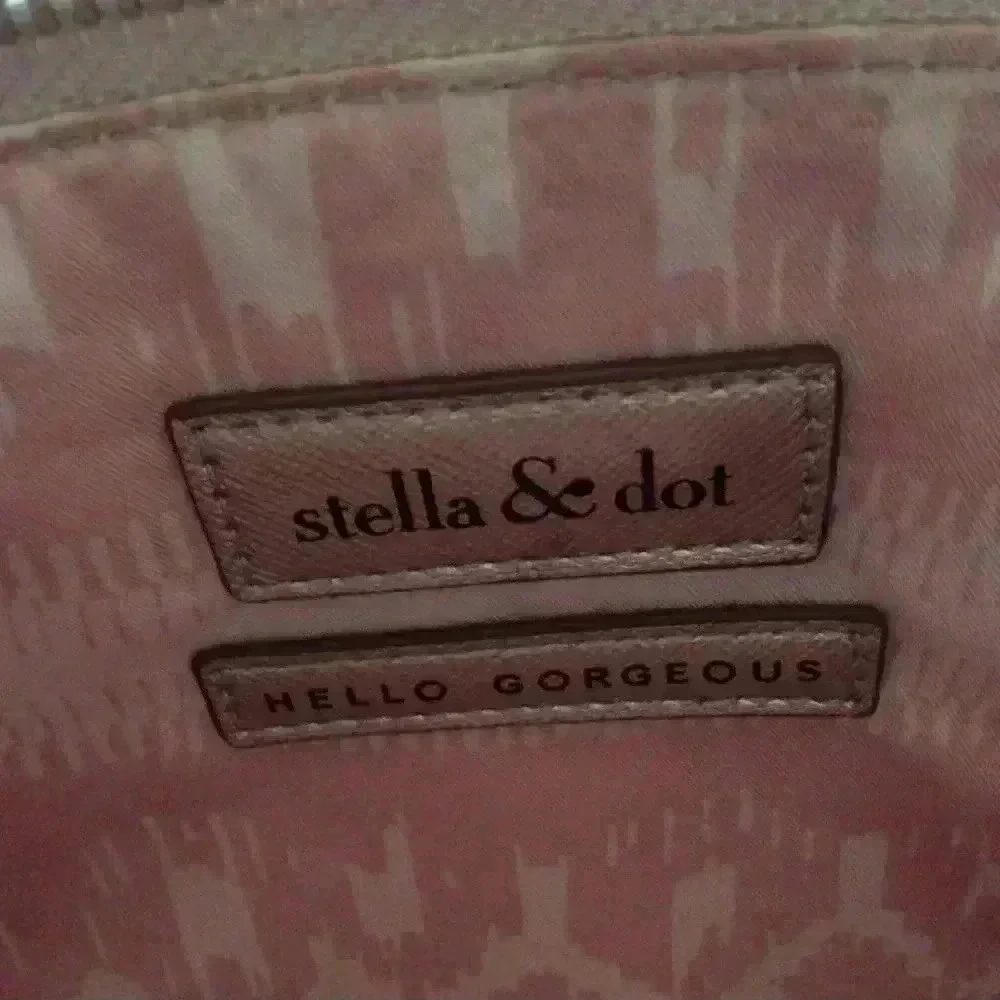 Stella &dot cosmetic bag!
